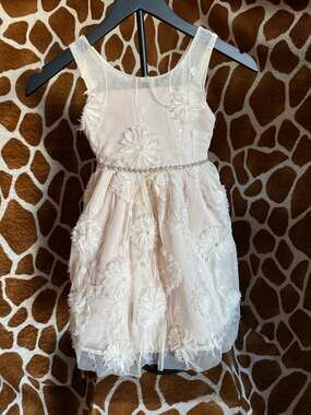 Kensie Girl Size 6 Champagne Tulle Floral Applique Special Occasion Flower Girl